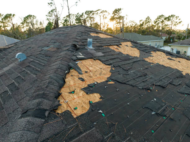 Professional Roofing service in Bellevue, OH